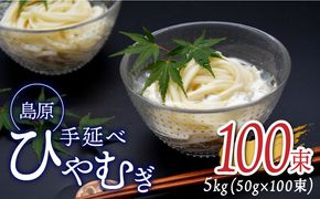 【金帯 国産 小麦 100％使用 】島原 手延べ ひやむぎ 5kg [SCB015] 