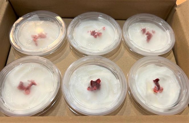 【四国一小さな町の喫茶店】茶房千福レアチーズケーキ（冷凍） レアチーズケーキ ケーキ 取り寄せ スイーツ 食べきりサイズ カップケーキ お取り寄せスイーツ チーズケーキ 個包装 冷凍