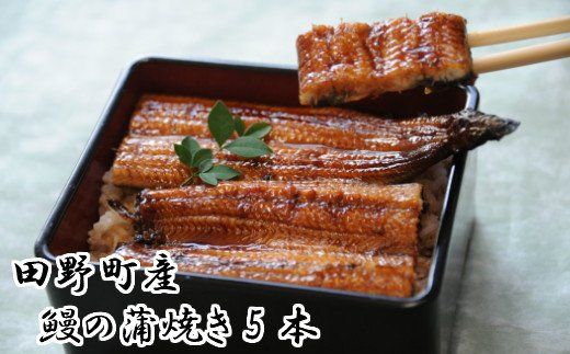 田野町産うなぎの蒲焼き（大）5本　タレ付き 山椒付き うなぎ 鰻 ウナギ 蒲焼き かば焼き 無頭 おいしい 国産 お取り寄せ 冷凍 配送
