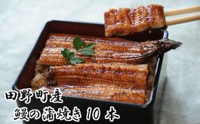 田野町産うなぎの蒲焼き(大）10本 タレ付き 山椒付き うなぎ 鰻 ウナギ 蒲焼き かば焼き 無頭 おいしい 国産 お取り寄せ 冷凍 配送