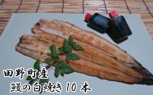 ymc쒬zc쒬YȂ̔Ă(j10{@^t Rt Ȃ V EiM    Y   Ⓚ z