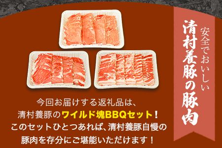 ワイルド塊BBQセット 計1450g 清村養豚 《30日以内に出荷予定(土日祝除く)》  熊本県 御船町 豚 肉 冷凍 小分け カタ モモ バラ---sm_fkymwibbq_30d_23_13500_1450g---