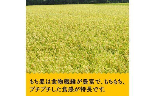 令和7年産 もち麦 2.5kg（500g×5袋） 【 ふるさと納税 国産 麦 もち麦 食物繊維 数量限定 宮崎県産 川南町産 送料無料 】 [C05401]