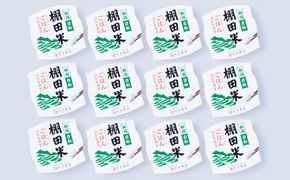 【令和7年産米】新潟県村上市岩船産 棚田米コシヒカリのパックごはん(150ｇ×12個) A4216