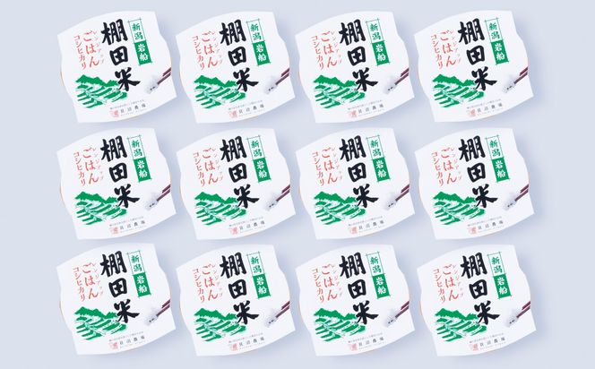 【令和7年産米】新潟県村上市岩船産 棚田米コシヒカリのパックごはん(150ｇ×12個) A4216