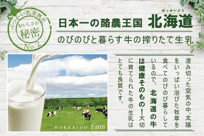 ＜北海道産＞べつかいのアイスクリーム屋さん　プレミアムミルクリッチ　120ml　12個入【高島屋選定品】TK0000056