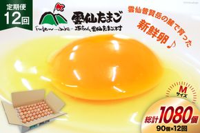 BI042 12回 定期便 たっぷり！ 雲仙たまごMサイズ 90個(85個＋割れ補償5個入り) [ 卵 たまご 生卵 鶏卵 赤卵 玉子 新鮮 塚ちゃん雲仙たまご村 長崎県 島原市 ]
