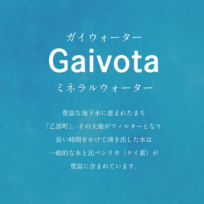 ＜Gaivota 1箱（500ml×24本/箱）+1箱（2L×6本/箱＞北のハイグレード食品 天然シリカ水  ミネラルウォーター  軟水 北海道産 北海道 乙部町 天然水 美容 ケイ素 無添加 シリカ ガイヴォータ 美肌 ミネラル 口当たり まろやか 備蓄 災害用 非常用