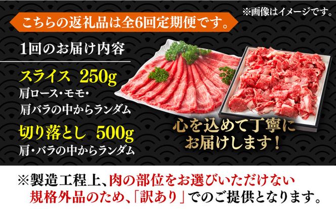 【全6回定期便】【訳あり】博多和牛 しゃぶしゃぶ すき焼き 750gセット《築上町》【株式会社MEAT PLUS】[ABBP086]