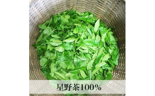 【2025年産】 八女茶 新茶 星野村の八女茶　飲み比べ3本セット