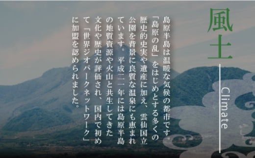 【コシの強さ・のど越しは逸品！】 こだわりの麺匠が創る 島原 手延 素麺 9kg (50g×180束) / そうめん 南島原市 / ふるさと企画 [SBA029]