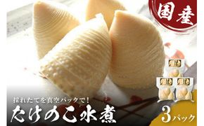 国産たけのこ水煮【中津川市瀬戸産】孟宗筍のみ使用 F4N-0122