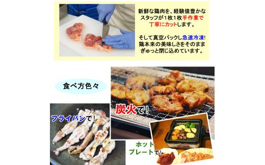 産地直送! 恵那どりの鶏焼セット 計1kg（2～3人前）冷凍 F4N-0448