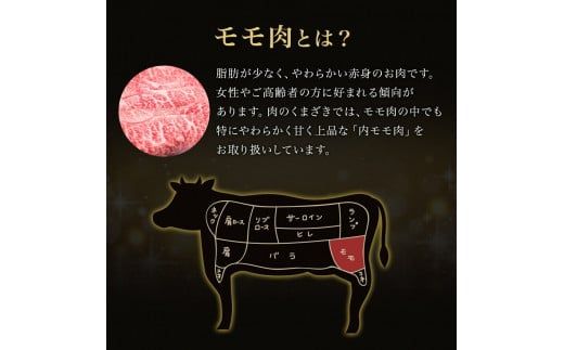 「肉の芸術品」飛騨牛かたまり肉＜ローストビーフ用（モモ肉又は肩肉）＞約300g F4N-0606