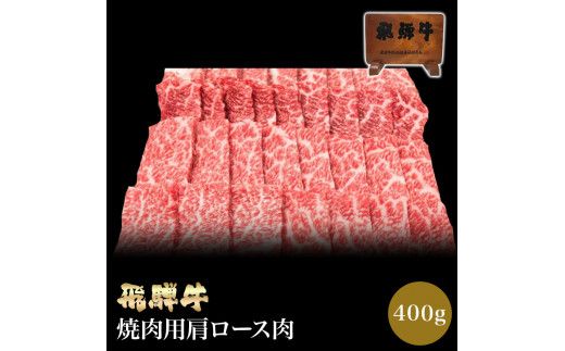 「肉の芸術品」飛騨牛肩ロース肉焼き肉用 400g F4N-0611