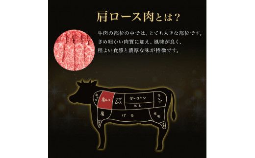 「肉の芸術品」飛騨牛肩ロース肉焼き肉用 400g F4N-0611