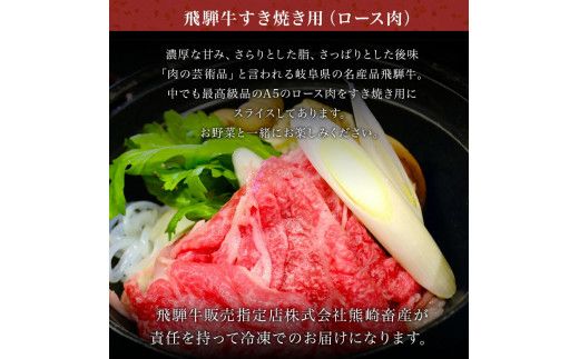 「肉の芸術品」飛騨牛すき焼き用（ロース肉）500g F4N-0619