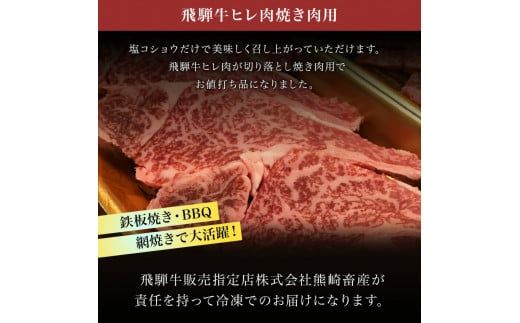 【希少部位】「肉の芸術品」飛騨牛ヒレ切り落とし肉焼肉用500g F4N-0620