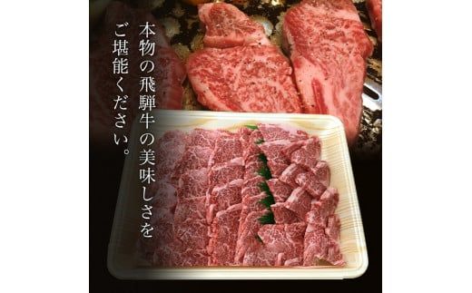 【希少部位】「肉の芸術品」飛騨牛ヒレ切り落とし肉焼肉用500g F4N-0620