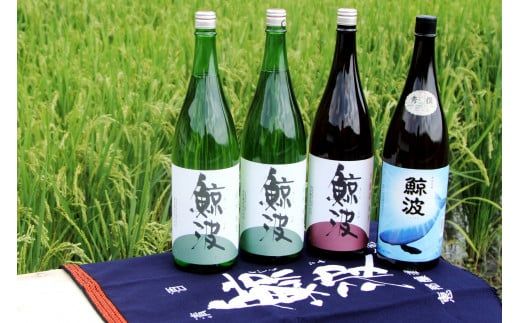 y򕌌Ðsz u~gv āE{EG ꏡrZbg F4N-0990