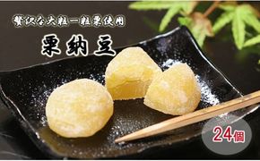 御菓子処信玄堂 栗を一粒まるごと贅沢に！！ 栗納豆24個 F4N-1053