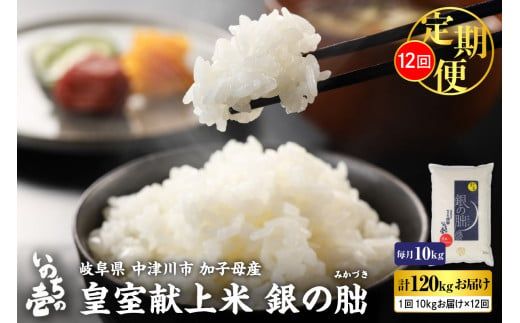 【令和6年産 新米】＜全12回定期便＞ 皇室献上米『銀の朏』10kg 中津川市加子母産 栽培期間中化学肥料不使用 お米 新米 精米 F4N-1143