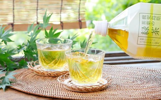 【定期便】トライアルのお茶飲み比べセット（緑茶2L×6本・烏龍茶2L×6本）を3か月連続でお届け