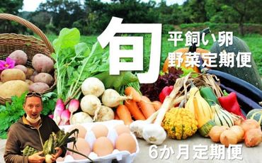 [定期便]旬のお野菜定期便(6か月)