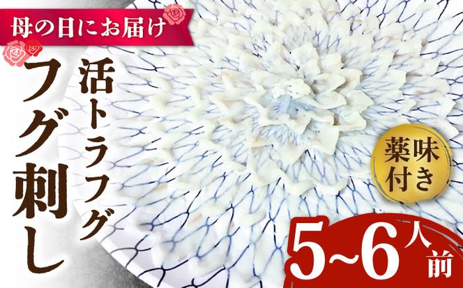 【母の日にお届け！】【長崎県産】活トラフグ フグ刺し（５～6人前） / ふぐ 刺身 南島原市 / ながいけ[SCH065]