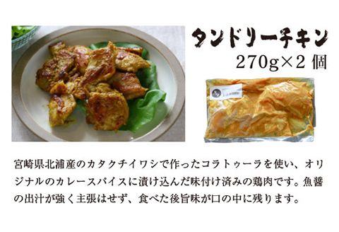 あじ屋　漁師町の味付け　手羽塩・タンドリーチキン・鶏から　3種セット　N026-ZA610