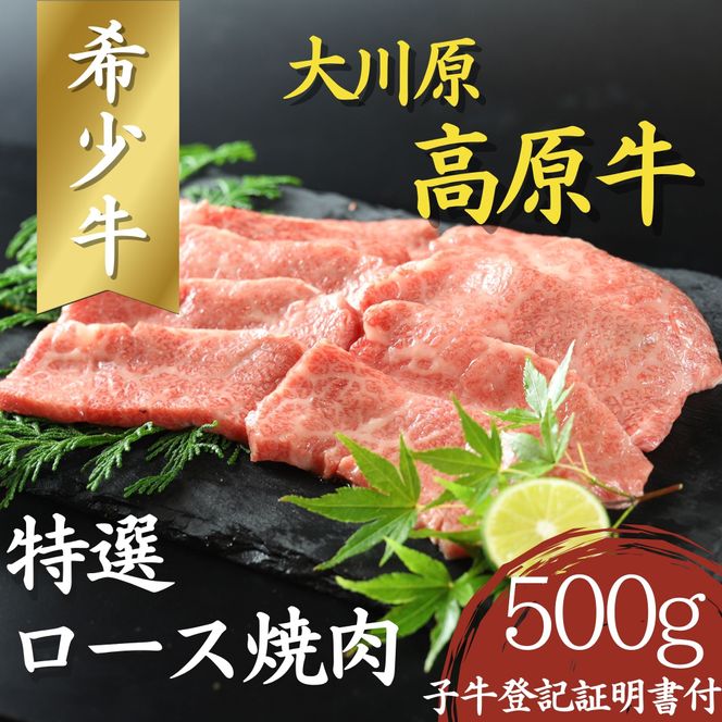 【CF】大川原高原牛　特選ロース焼肉　500g