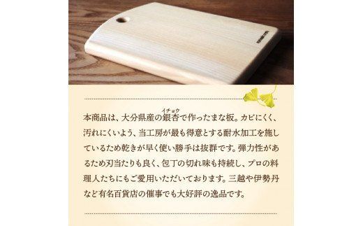 卓上カッティングボード23×16×2.2cm/耐水加工済_1250R