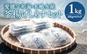 【愛媛県・佐田岬直送】木嶋水産の釜揚げしらす 1kg（250g×4パック）｜魚介類 海産物 魚 釜揚げ しらす シラス 小分け やみつき ご飯のお供 おつまみ 酒の肴 おやつ しらす丼 サラダ 海産物 冷凍 お取り寄せ グルメ 食品 国産 愛媛県産 ※離島への配送不可