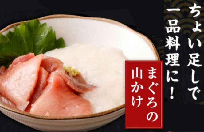 まぐろ ！《 天然本まぐろ 》 中トロ 切落し 【ちょこっとパック】合計300g(60g×5パック )  食べきりサイズ 天然 本マグロ まぐろ マグロ 鮪 中とろ 切り落とし 海産物 魚 刺身 魚介類 海鮮 小分け 簡単 調理 惣菜 訳あり 手軽 高知県 不揃い 冷凍 12000円 送料無料 室戸 mgr tk035!