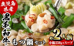 鹿児島県産黒毛和牛小腸使用！もつ鍋セット(約2人前分)国産 モツ モツ鍋 ホルモン 牛肉 出汁 醤油ベース 惣菜 おかず【和食処まきや】akn065-01