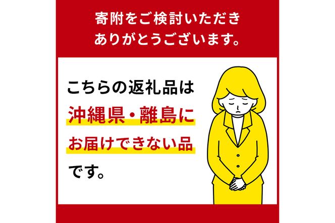 ns002-017【チーズガーデン】御用邸チーズケーキと3種の焼き菓子セット