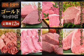 【特選定期便 全12回】 佐賀牛 ゴールドセレクト便【合計 11.7kg】【国産和牛 牛肉 肉 牛 ヒレ サーロイン シャトーブリアン 肩ロース ウデスライス ステーキ すき焼き しゃぶしゃぶ 焼肉】 (H085197)