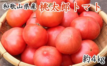 和歌山秋の味覚 平核無柿（ひらたねなしがき） 約４ｋｇ 化粧箱入 ※着