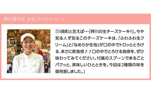 『押川春月堂本店』とろける生チーズケーキセット（チョコ×２個） 【 ケーキ チーズケーキ お菓子 スイーツ 】 [G2704]