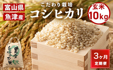 3ヶ月定期便【玄米】富山県魚津産コシヒカリ(こだわり栽培)10kg