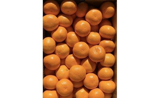 ［小玉サイズ(３Ｓ・２Ｓ）・秀／優混合］まる隆果樹園　和歌山有田産！早生みかん≪5kg≫［予約販売］［数量限定］ CS016