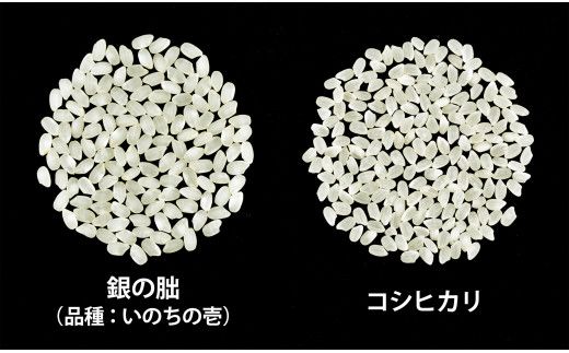 【令和6年産 新米】 皇室献上米『銀の朏』2kg 中津川市加子母産 栽培期間中化学肥料不使用 （令和6年10月下旬より順次発送） お米 新米 精米 F4N-1136