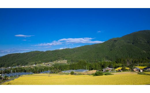 【令和6年産 新米】 皇室献上米『銀の朏』2kg 中津川市加子母産 栽培期間中化学肥料不使用 （令和6年10月下旬より順次発送） お米 新米 精米 F4N-1136