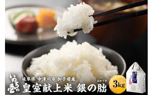 ＜テレビで紹介されました！＞令和7年度 新米 皇室献上米『銀の朏』3kg 中津川市加子母産 栽培期間中化学肥料不使用 米 お米 コメ ごはん ご飯 食品 F4N-1863
