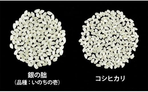 ＜テレビで紹介されました！＞令和7年度 新米 皇室献上米『銀の朏』3kg 中津川市加子母産 栽培期間中化学肥料不使用 米 お米 コメ ごはん ご飯 食品 F4N-1863