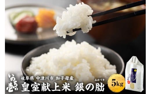 【令和6年産 新米】皇室献上米『銀の朏』5kg 中津川市加子母産 栽培期間中化学肥料不使用 （令和6年10月下旬より順次発送） お米 新米 精米 F4N-1138