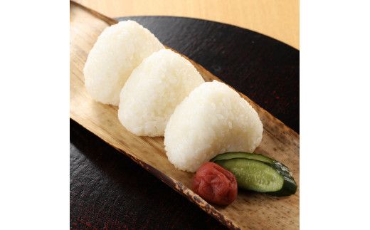 ＜テレビで紹介されました！＞令和7年度 新米 皇室献上米『銀の朏』10kg 中津川市加子母産 栽培期間中化学肥料不使用 米 お米 コメ ごはん ご飯 食品 F4N-1865