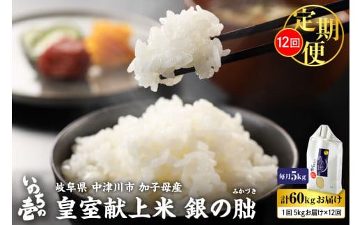 【令和6年産 新米】＜全12回定期便＞皇室献上米『銀の朏』5kg 中津川市加子母産 栽培期間中化学肥料不使用 お米 新米 精米 F4N-1142