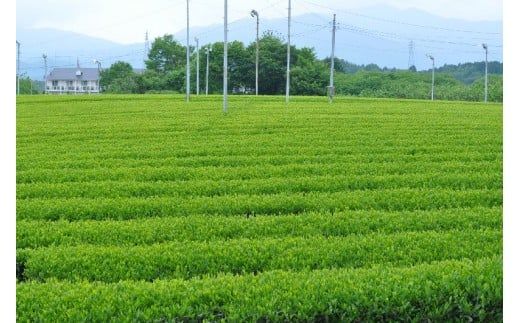 y򕌌Ðszs쐻߂pbN F4N-1157