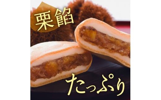 中津川市之瀬 「和栗最中アイス8個入」 F4N-1832